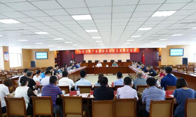 全市安防產(chǎn)業(yè)集群高質(zhì)量發(fā)展推進會議在集團公司舉行